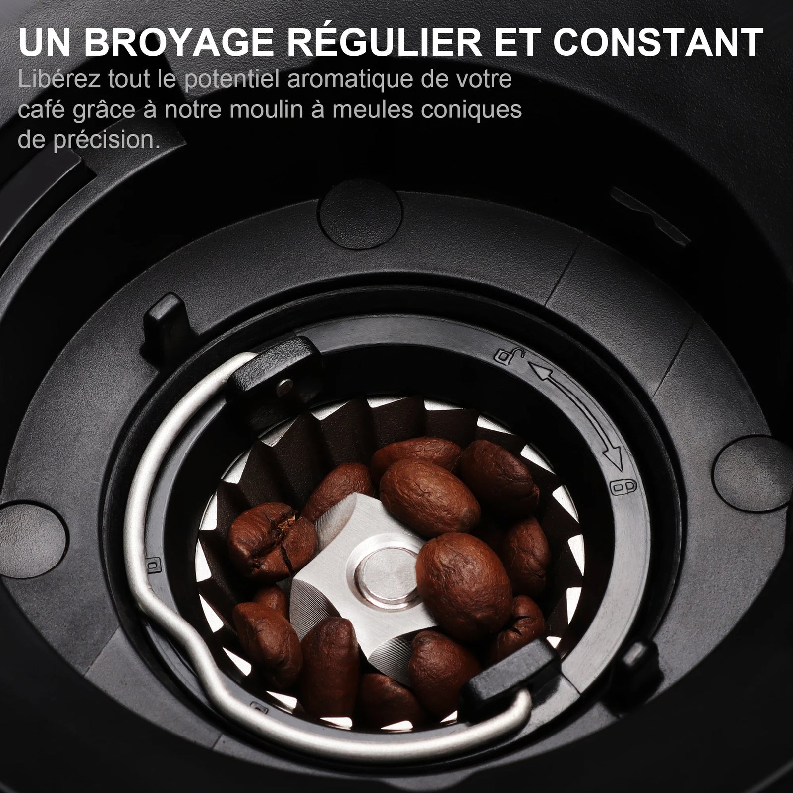 Meules coniques pour un broyage régulier