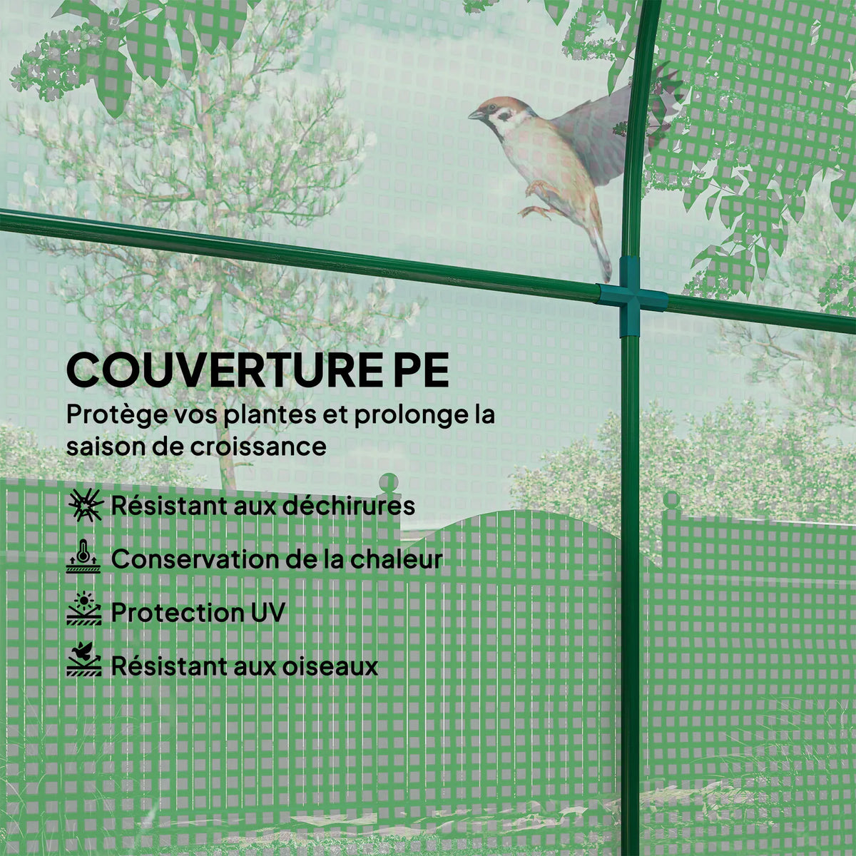 Serre de Jardin Tunnel 180 x 180 x 200 cm – Acier ; Bâche PE, Porte et Fenêtre Enroulables Serre de jardin