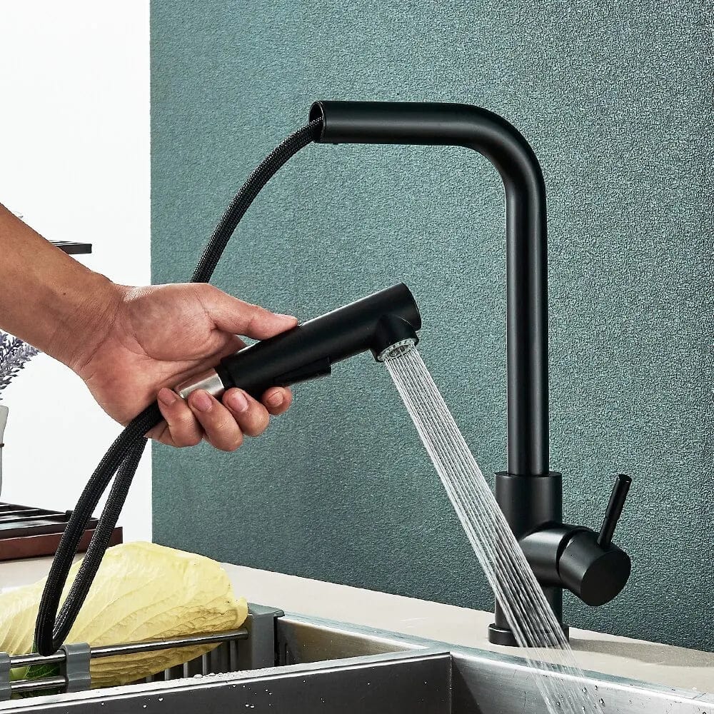 Robinet de cuisine à douchette extractible, mitigeur inox 304 monotrou